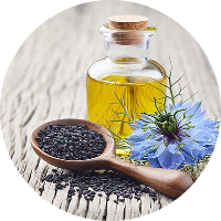 Olej z nasion czarnuszki (Nigella sativa)